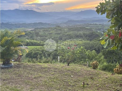 Quinta rústica - Neira, Departamento de Caldas