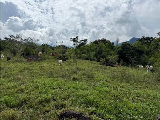 Arsa Támesis, Departamento de Antioquia