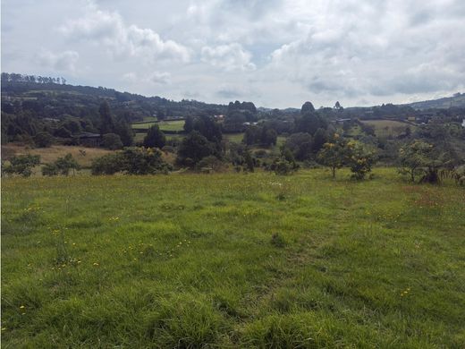 Arsa Envigado, Departamento de Antioquia