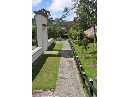 Arsa Envigado, Departamento de Antioquia