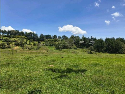 Rustik ya da çiftlik Rionegro, Departamento de Antioquia