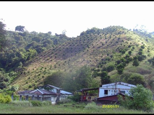 Rustykalny lub Wiejski w Pijao, Quindío Department