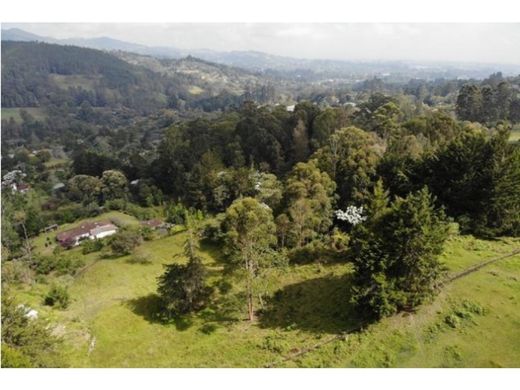 地皮  Rionegro, Departamento de Antioquia