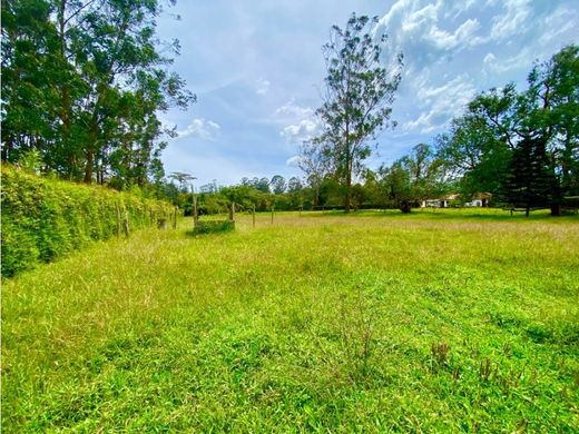 Grundstück in Rionegro, Departamento de Antioquia