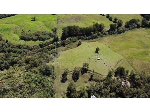 Apartment / Etagenwohnung in Rionegro, Departamento de Antioquia