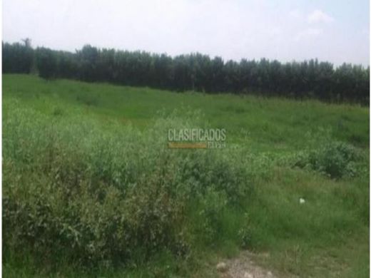 Участок, Cota, Departamento de Cundinamarca