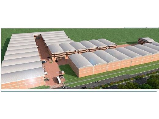 토지 / Tenjo, Departamento de Cundinamarca