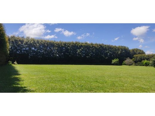 Land in Rionegro, Departamento de Antioquia