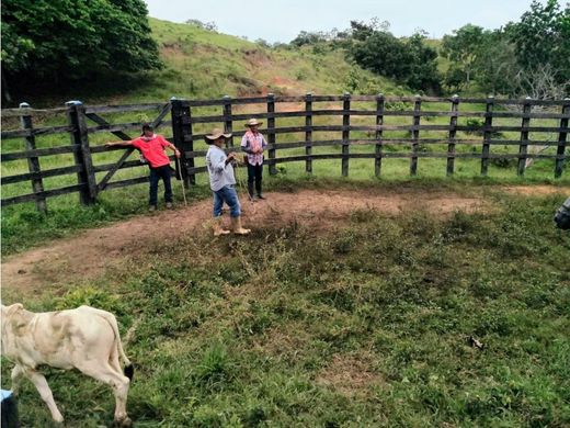 ﻣﻨﺰﻝ ﺭﻳﻔﻲ/ ﺑﻴﺖ ﻤﺰﺭﻋﺔ ﻓﻲ Necoclí, Departamento de Antioquia