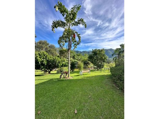 ﻣﻨﺰﻝ ﺭﻳﻔﻲ/ ﺑﻴﺖ ﻤﺰﺭﻋﺔ ﻓﻲ Venecia, Departamento de Antioquia