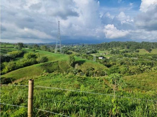 Grundstück in Filandia, Quindío Department