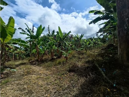 ﻣﻨﺰﻝ ﺭﻳﻔﻲ/ ﺑﻴﺖ ﻤﺰﺭﻋﺔ ﻓﻲ Calarcá, Calarca