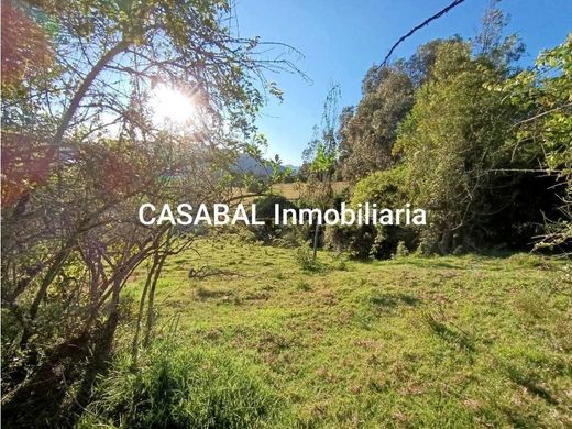 Tocancipá, Departamento de Cundinamarcaの土地