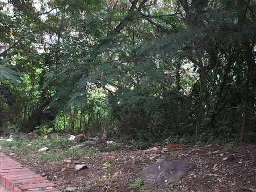 地皮  卡利, Cali