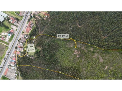 Πολυτελή κατοικία σε Tibasosa, Departamento de Boyacá