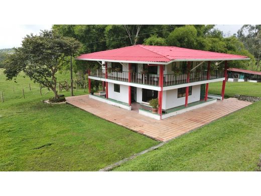 Ferme à Filandia, Quindío Department
