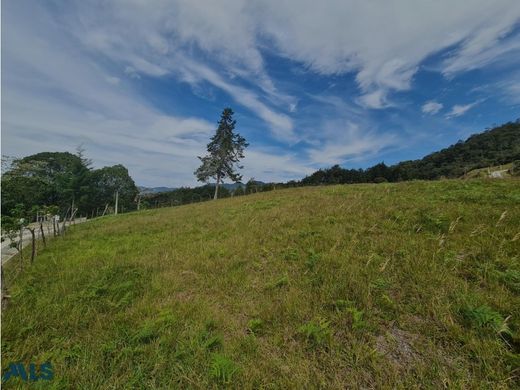 Αγροτεμάχιο σε Rionegro, Departamento de Antioquia