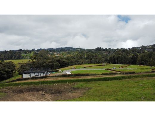 ‏קרקע ב  מדיין
, Medellín