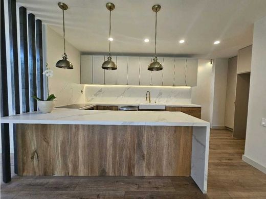 호화 저택 / 메데인, Medellín