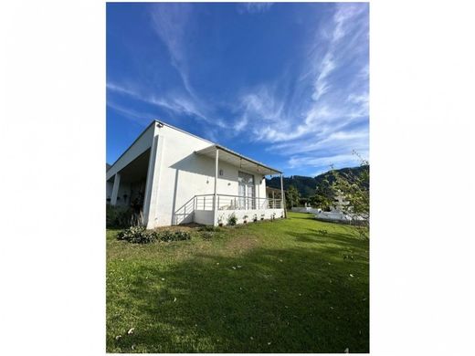 Ferme à Venecia, Departamento de Antioquia