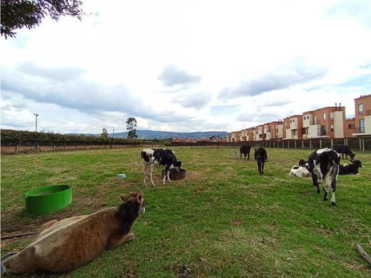 Terreno a Chía, Departamento de Cundinamarca
