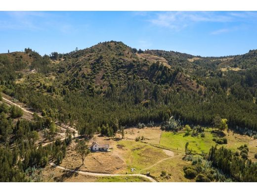 Ferme à Iza, Departamento de Boyacá