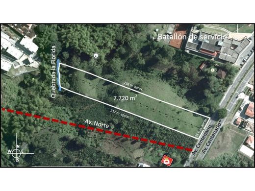 Arsa Armenia, Quindío Department