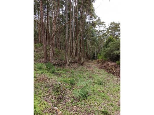 Land in Medellín, Departamento de Antioquia