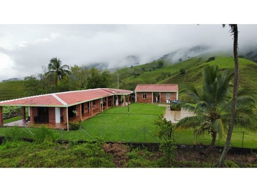 Rustik ya da çiftlik Maceo, Departamento de Antioquia