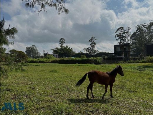 Grundstück in Rionegro, Departamento de Antioquia