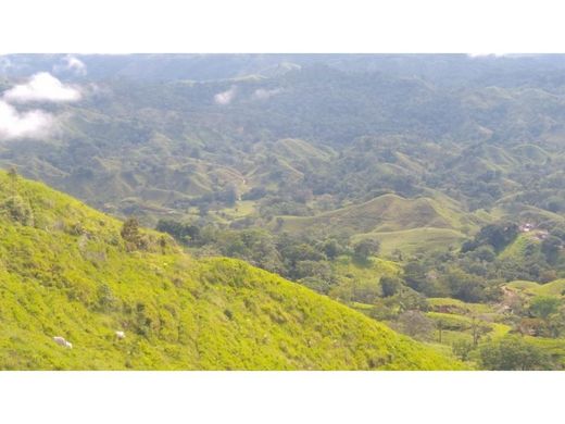 ‏בתים כפריים או חוות ב  Maceo, Departamento de Antioquia