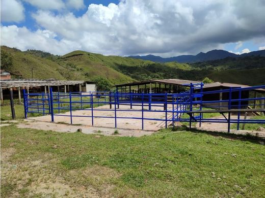 Ferme à San Carlos, El Piñon