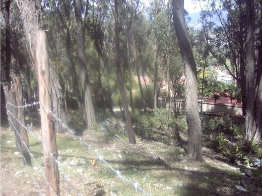 Arsa Armenia, Quindío Department