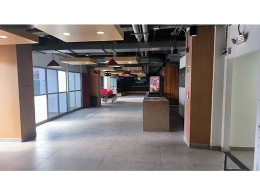 Офис, Белла, Bello