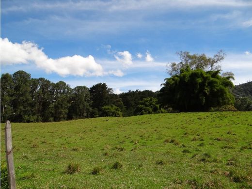 Grundstück in Rionegro, Departamento de Antioquia