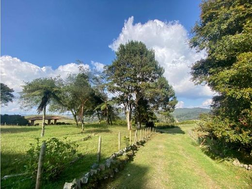 Rustik ya da çiftlik Medellín, Departamento de Antioquia