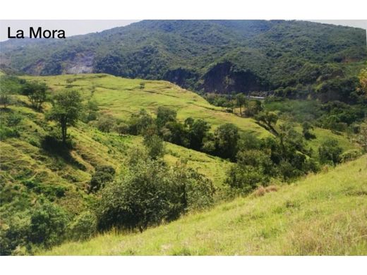 Land in San Jerónimo, Departamento de Antioquia