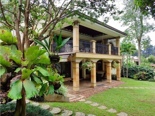 호화 저택 / 메데인, Medellín