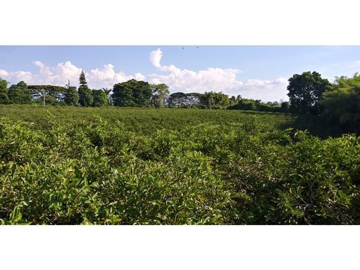 Terreno en La Tebaida, Quindío Department