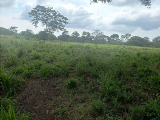 Land in Cartagena, Cartagena de Indias