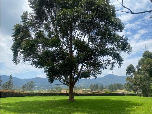 Terreno a La Ceja, Departamento de Antioquia