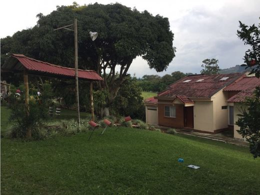 地皮  出售 Pereira
