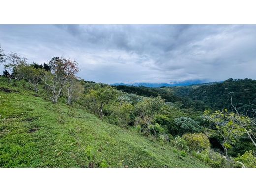 Terreno - Filandia, Quindío Department