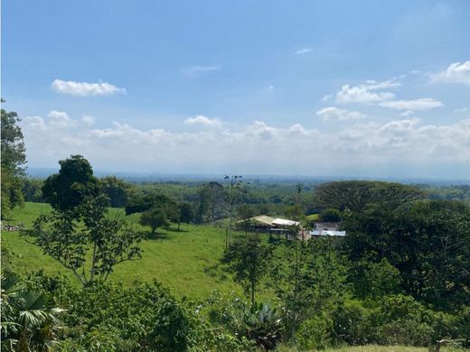 Terreno en Montenegro, Quindío Department