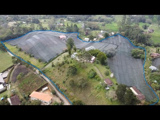 أرض ﻓﻲ Carmen de Viboral, El Carmen de Viboral