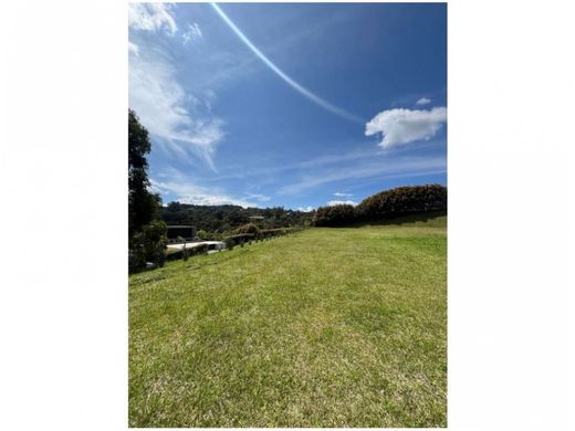 地皮  麦德林, Medellín