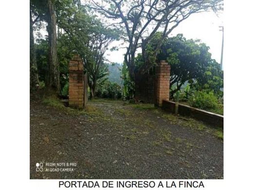 Сельский Дом, Andes, Departamento de Antioquia