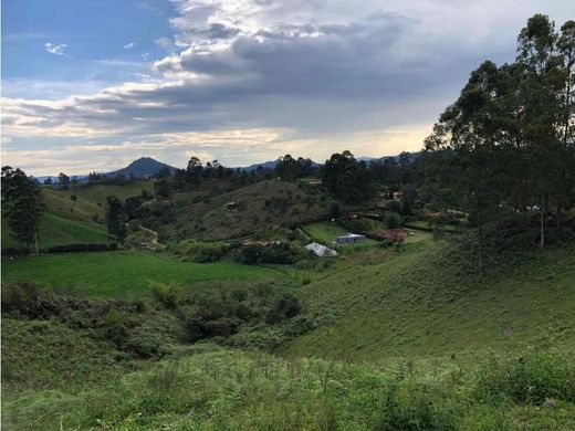 토지 / Carmen de Viboral, El Carmen de Viboral