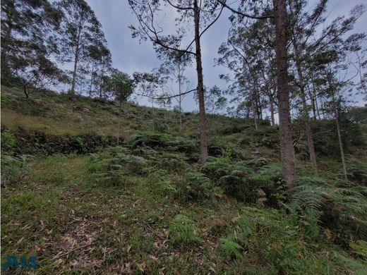 토지 / Guarne, Departamento de Antioquia