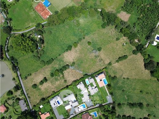 토지 / Palestina, Departamento de Caldas